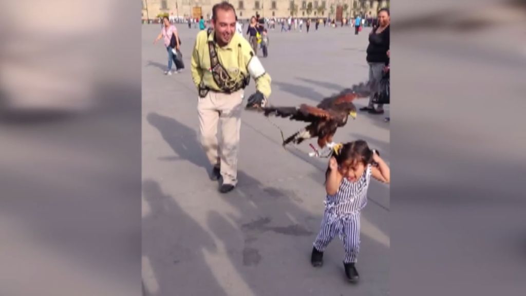 Un águila aterriza en la cabeza de una niña y su madre se ríe