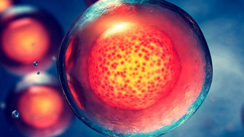 celulas-madre-en-medicina-regenerativa copiar