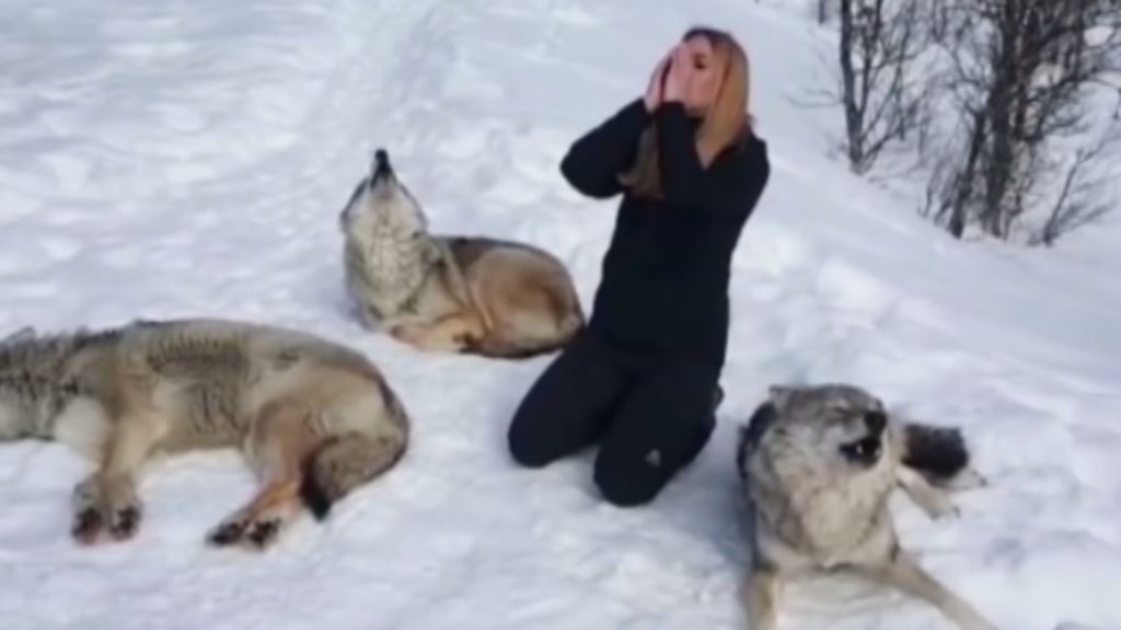Una mujer aulla a unos lobos y le responden