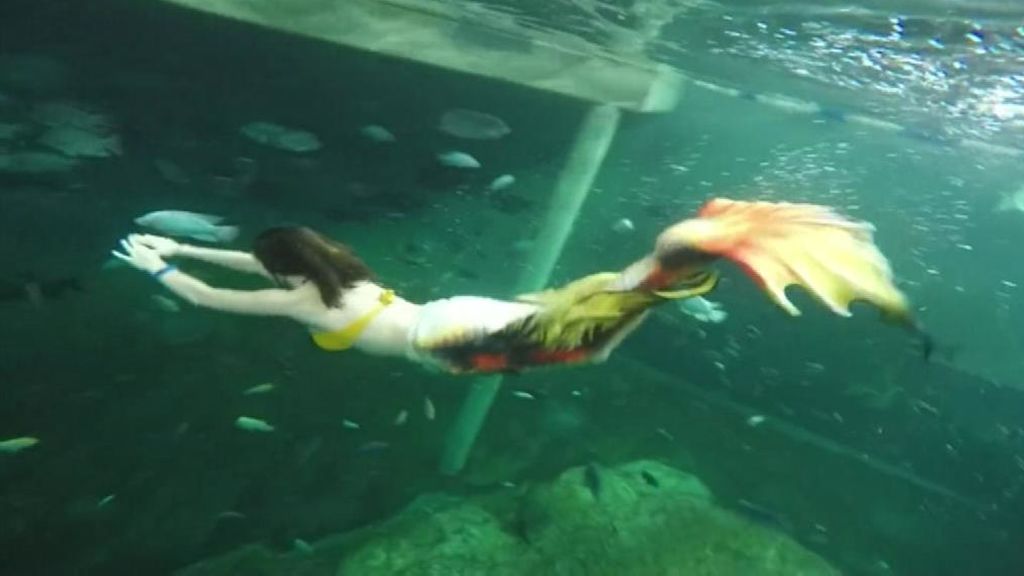 Las sirenas se hacen realidad en Bélgica