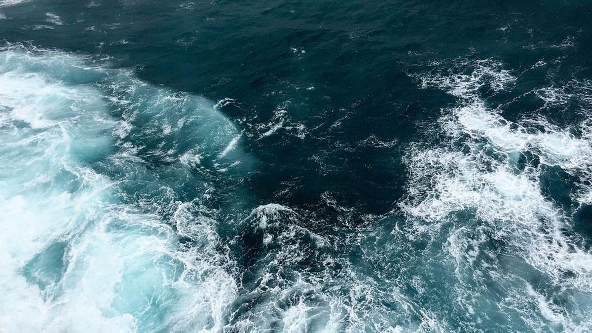 Nueva forma de vida en el Océano Pacífico que respira arsénico en vez de oxígeno