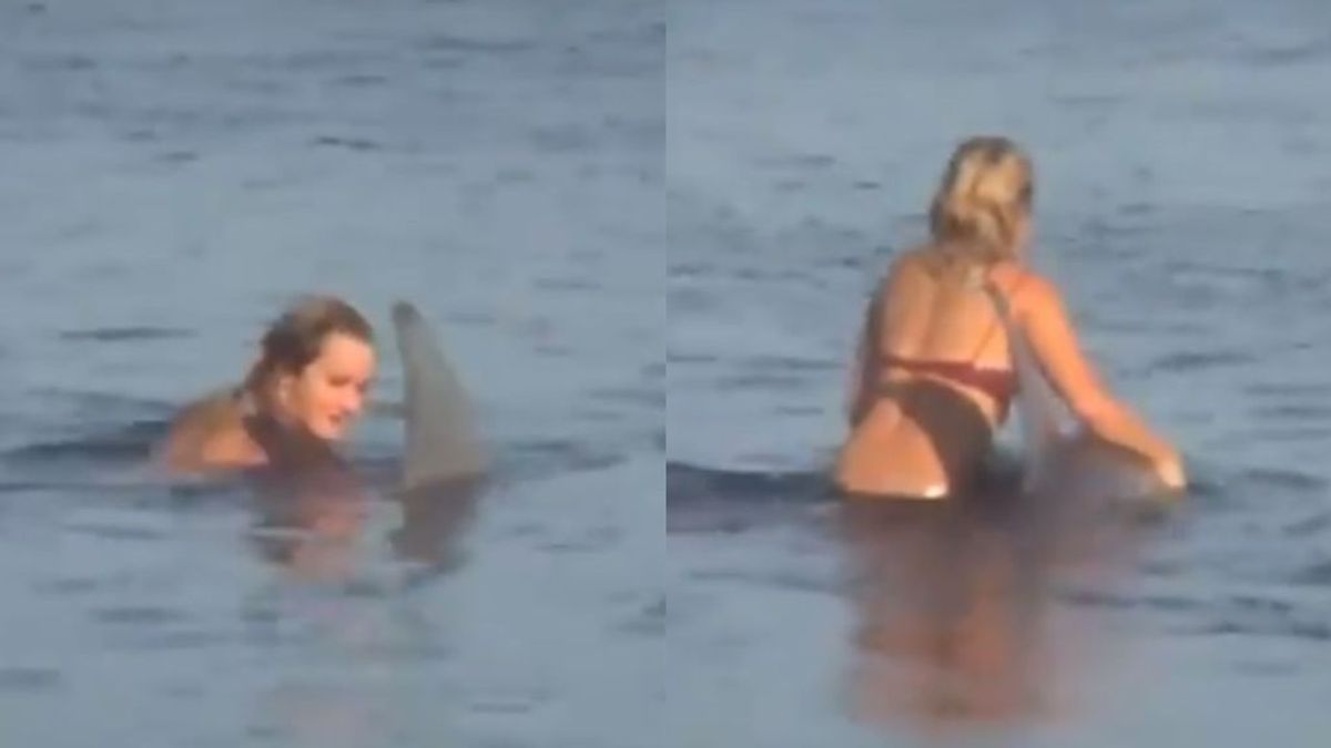 Un surfista ayuda a un tiburón desorientado a adentrarse en el mar