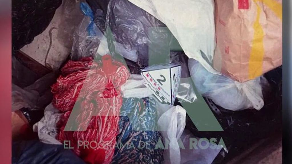 Imágenes del sumario del caso Janet