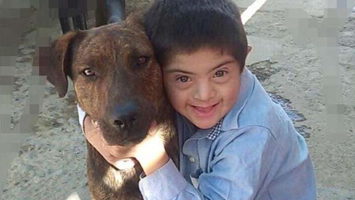 Envenenan y matan al perro de un niño con Síndrome de Down