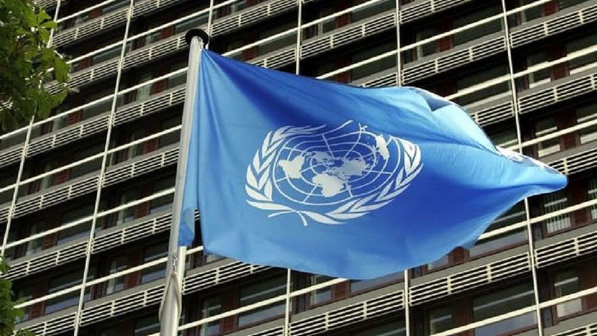 La ONU asegura que una de cada tres mujeres sufre violencia sexual durante su vida