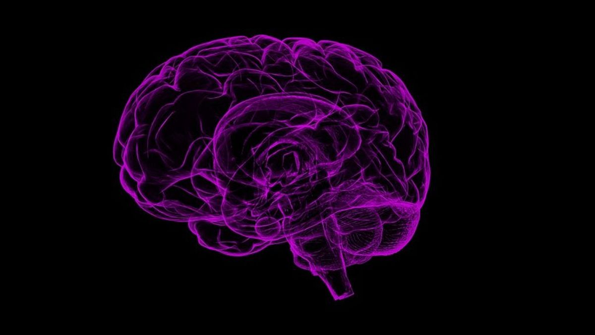 Potenciar los recuerdos positivos y disminuir los negativos podría ser posible estimulando diferentes partes del cerebro