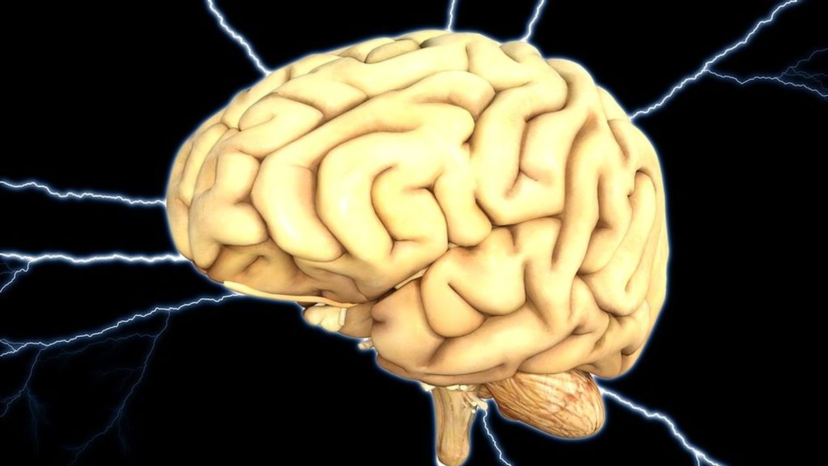 Las neuronas siguen formándose a partir de los 90 años aunque la persona tenga Alzheimer