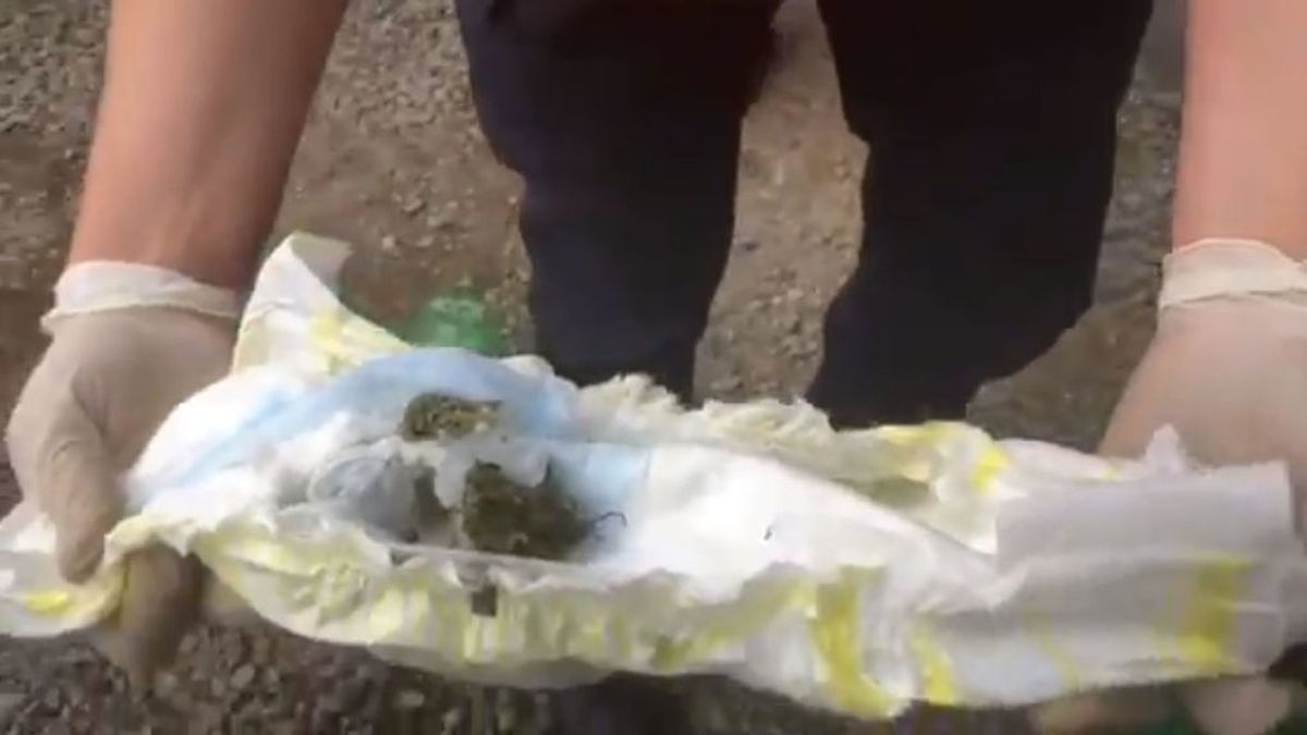 Pillan a una aficionada escondiendo droga en el pañal de su bebé en un estadio de fútbol Pillan a una aficionada escondiendo droga en el pañal de su bebé en un estadio de fútbol