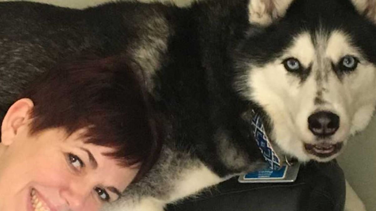 Sierra, el perro esquimal siberiano que salvó a su dueña detectando sus tumores