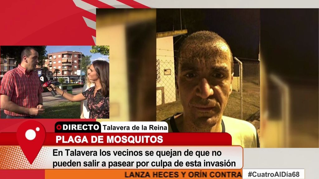 Talavera de la Reina, “invadida” de mosquitos por el bajo caudal del río Tajo