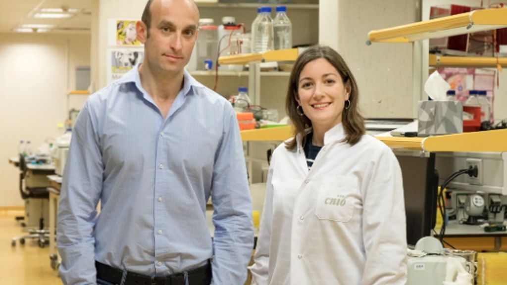 Nabil Djouder, jefe del Grupo de Factores de Crecimiento, Nutrientes y Cáncer del CNIO, y Almudena Chaves-Pérez, investigadora predoctoral