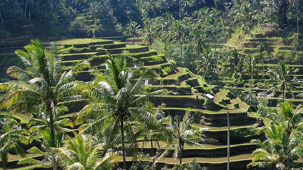 800px-Bali_panorama