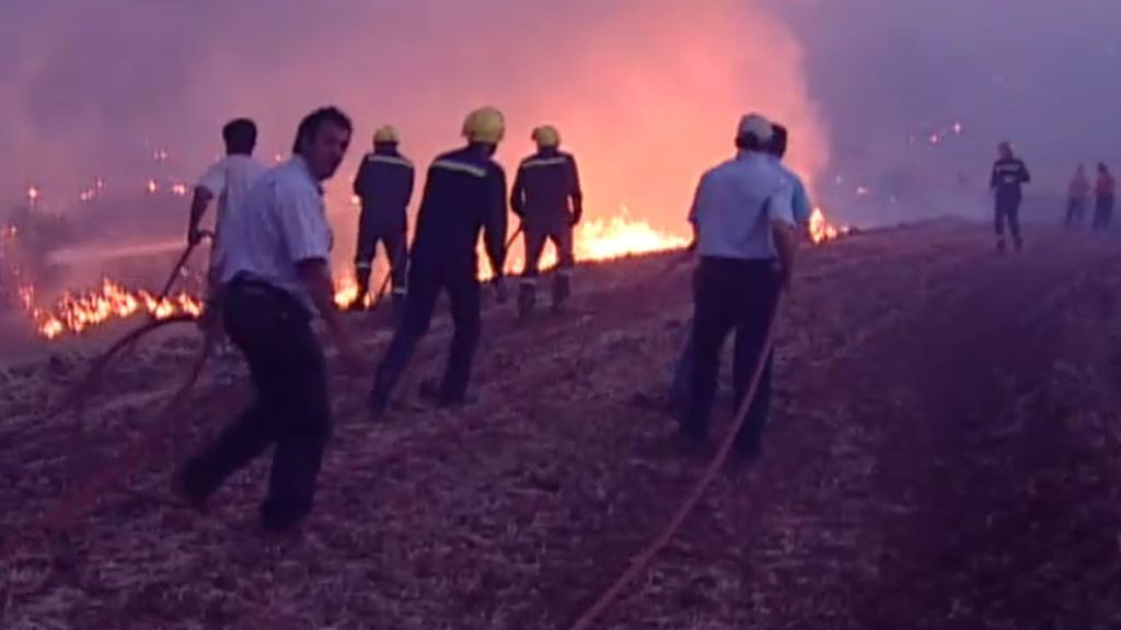 Ecologistas denuncian una falta de prevención de incendios