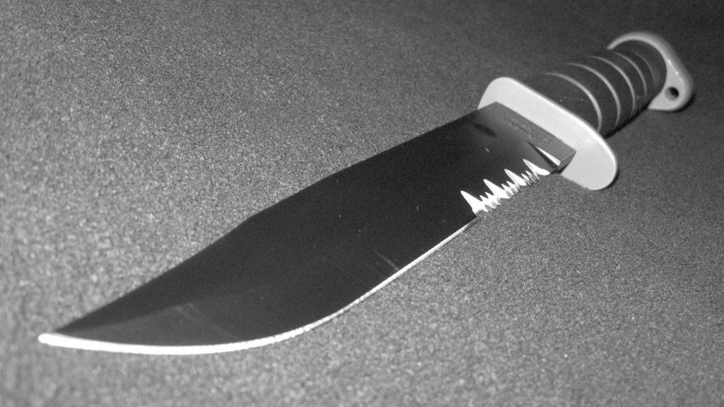 Apuñala mortalmente a la pareja de su madre y causa a ésta heridas de gravedad, en Galdácano (Vizcaya) Apuñala mortalmente a la pareja de su madre y causa a ésta heridas de gravedad, en Galdácano (Vizcaya)