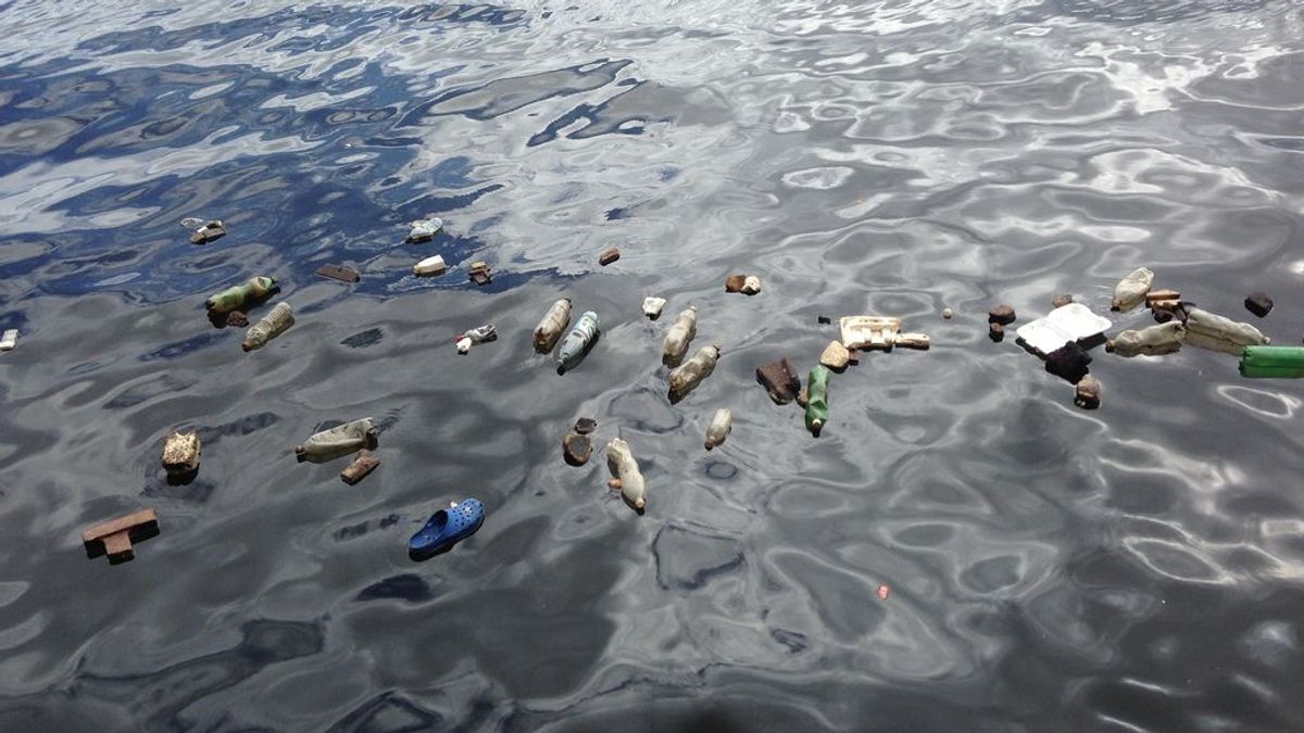 Más de la mitad de los plásticos del mar son fibras de ropa de la lavadora