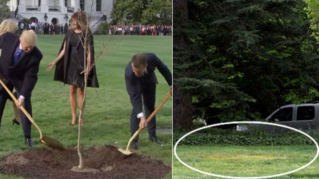 Muere el 'árbol de la amistad' plantado por Trump y Macron en la Casa Blanca