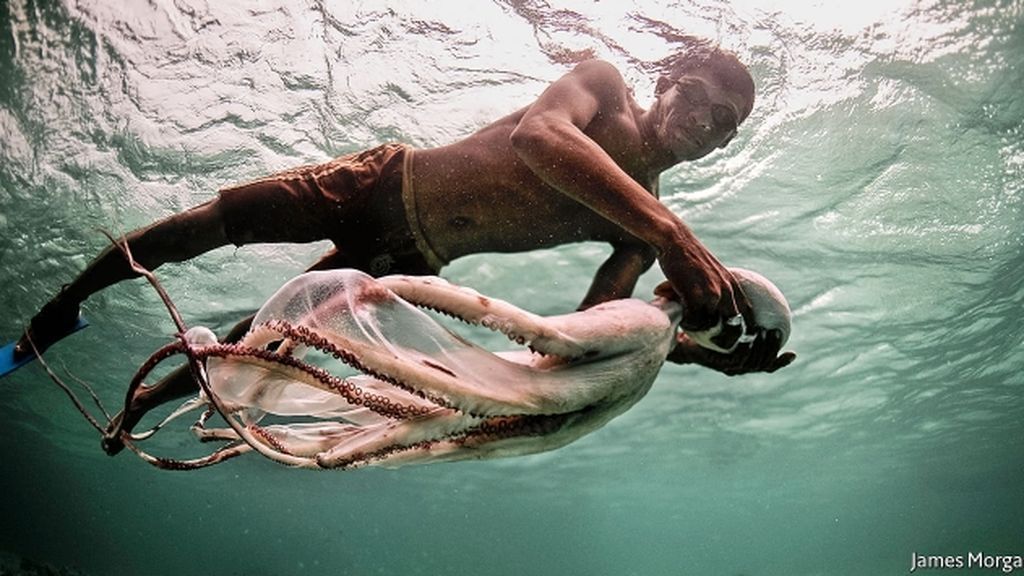 Los hombres anfibios existen y viven en el sudeste asiático Los hombres anfibios existen y viven en el sudeste asiático