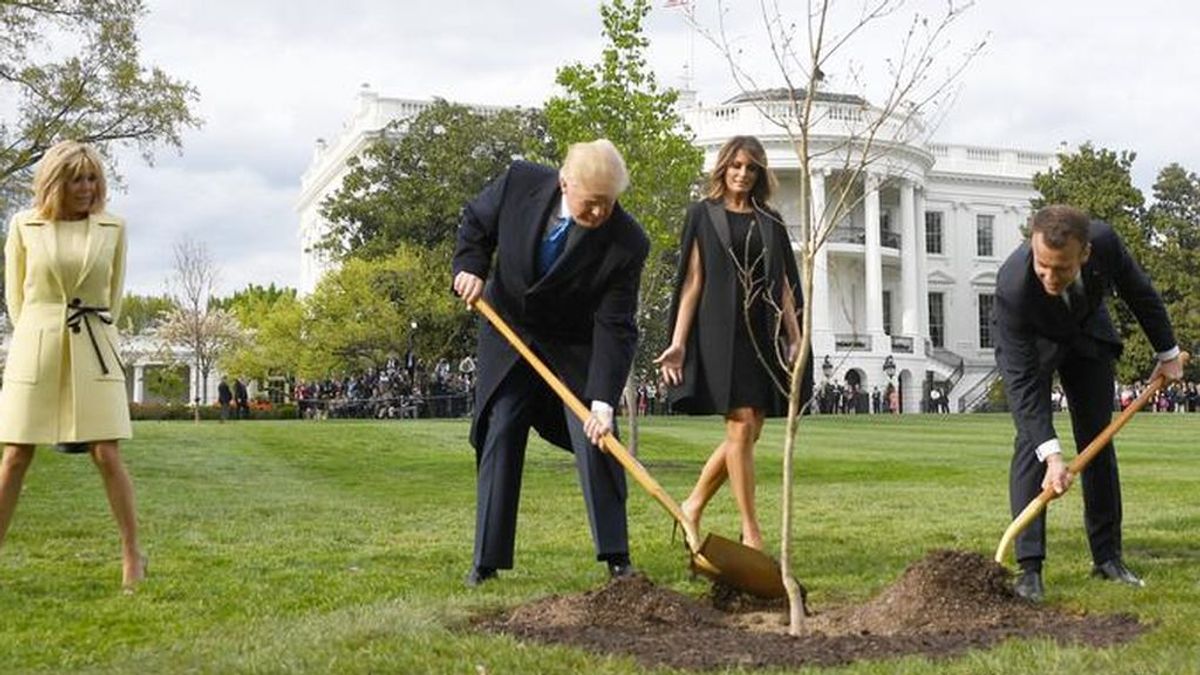 Los árboles más famosos de la Casa Blanca Los árboles más famosos de la Casa Blanca