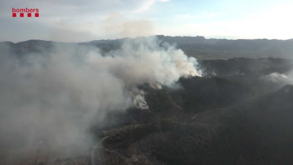 Dan por estabilizado el incendio forestal de El Perelló
