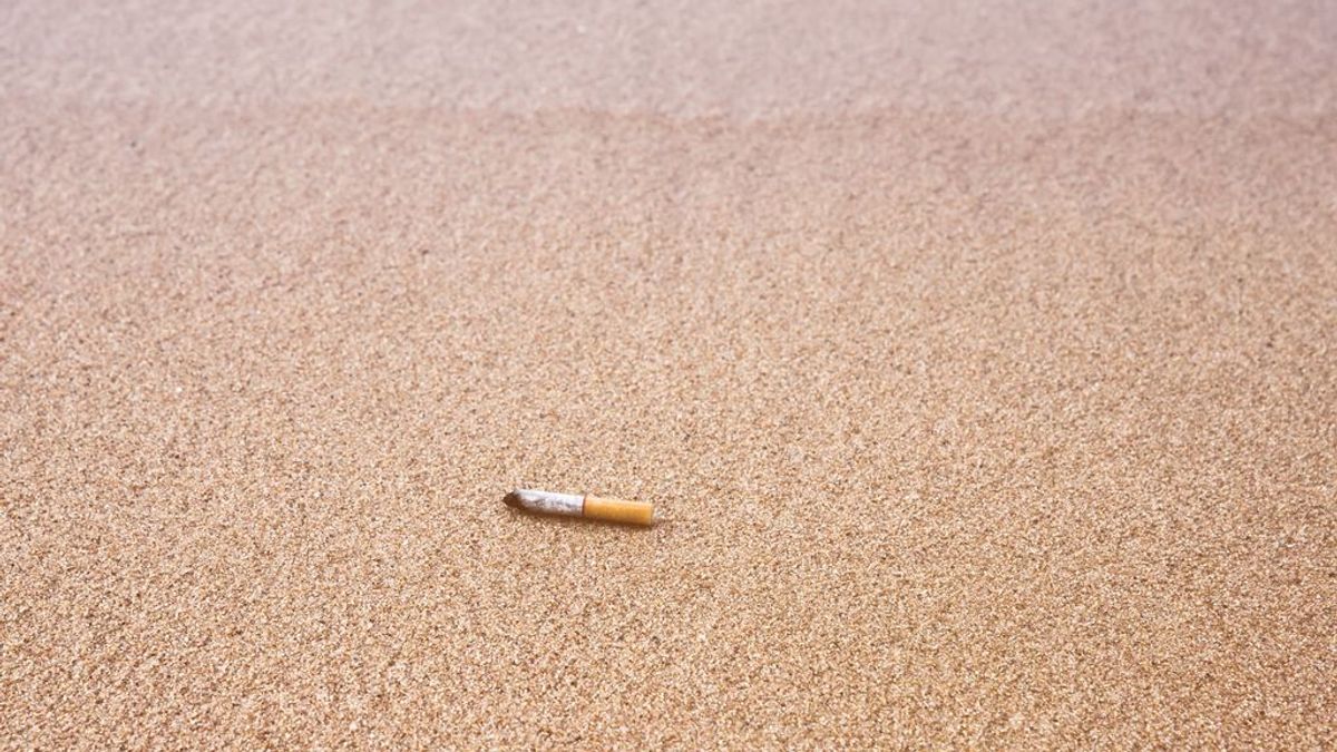 Más de 24.000 personas votan a favor de playas sin humo en Vigo Más de 24.000 personas votan a favor de playas sin humo en Vigo