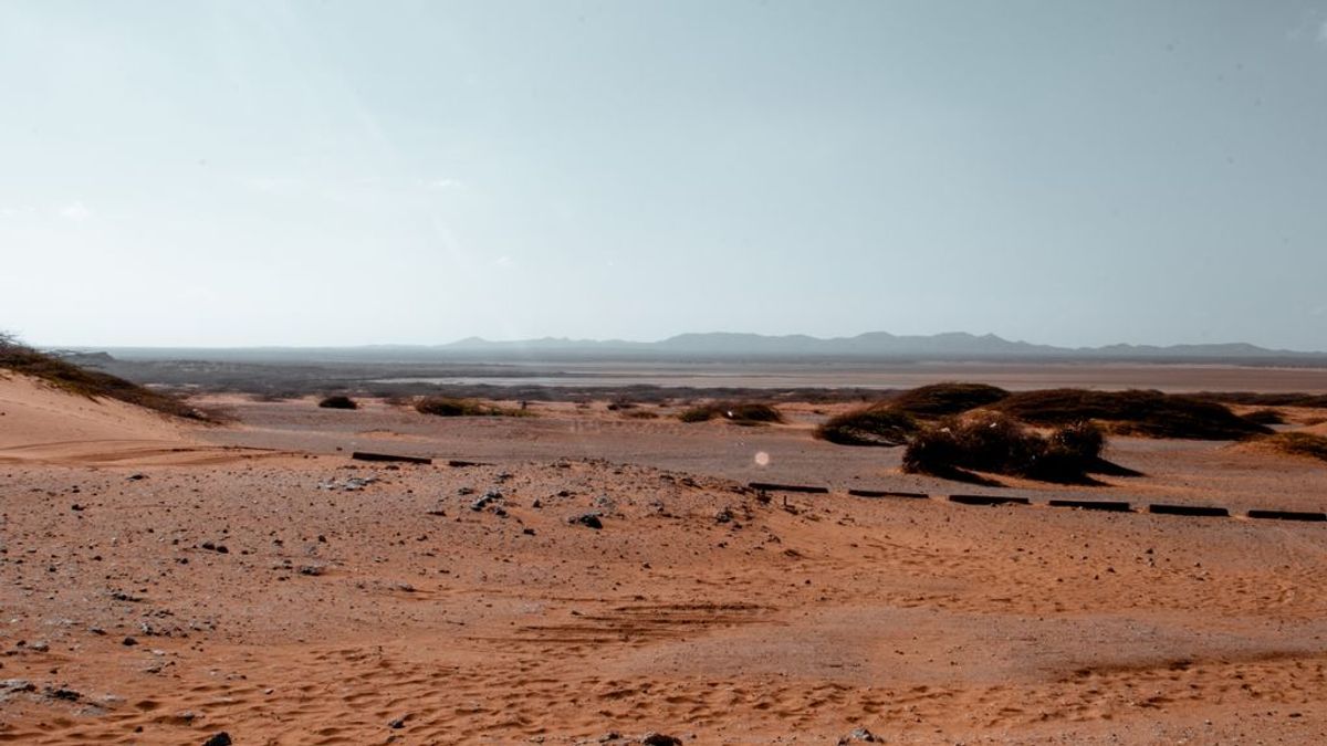 El desierto puede avanzar 30.000 metros cuadrados en España en los próximos 30 años El desierto puede avanzar 30.000 metros cuadrados en España en los próximos 30 años