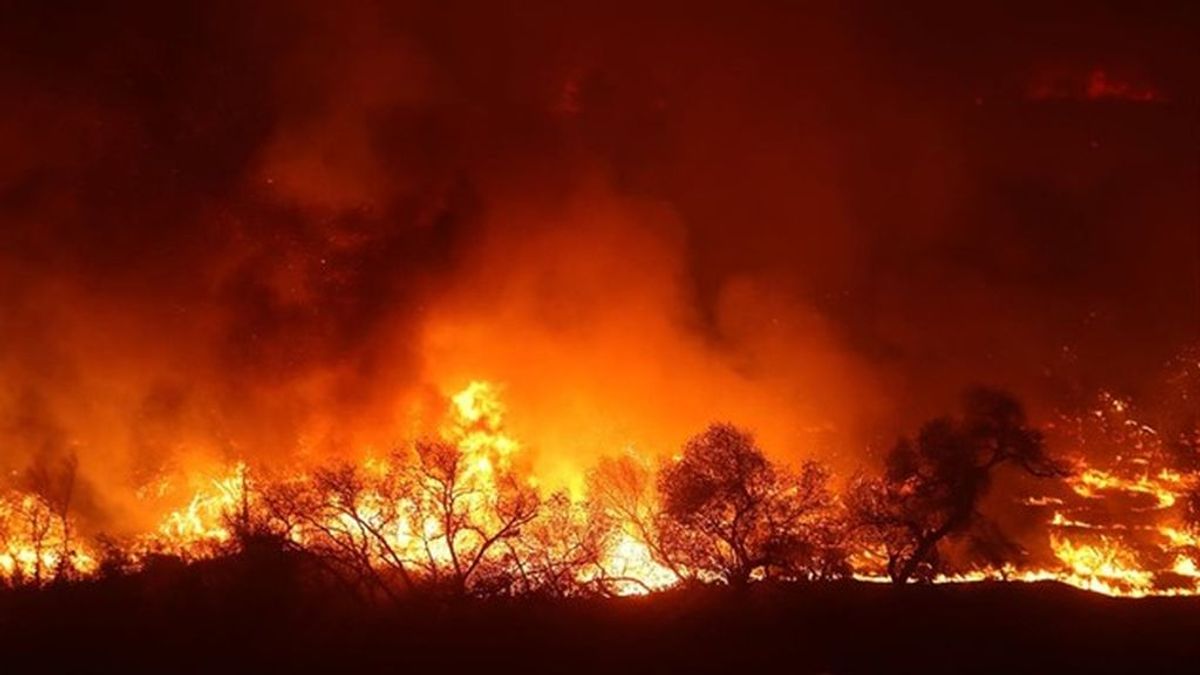 Los incendios siguen implacables:  34.980 hectáreas  arrasadas de enero a mayo