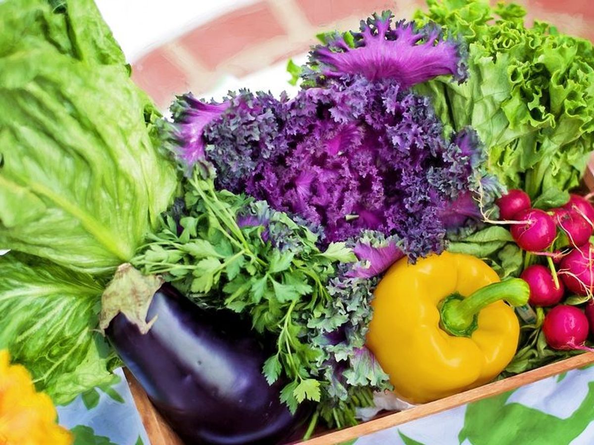 Día Mundial de las verduras frescas 2019: consejos para incluirlas en tu  dieta