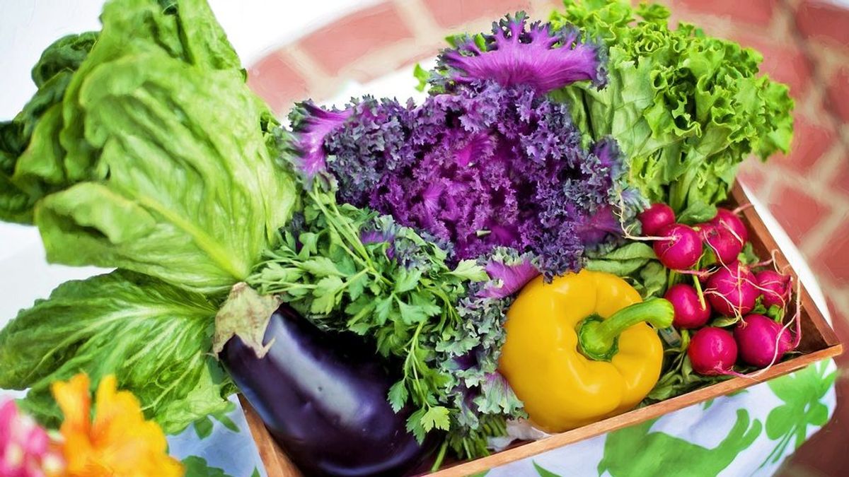 Día Mundial de las verduras y hortalizas frescas: ¿cuáles son sus beneficios?