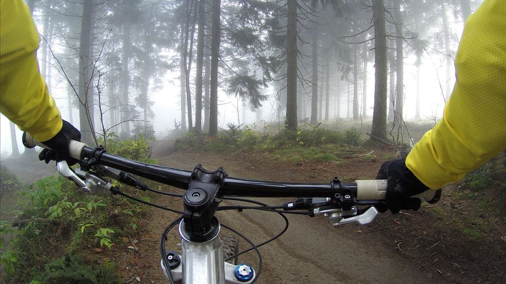 Uso de la bicicleta