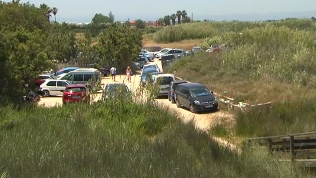 Posible nueva manada en Cullera