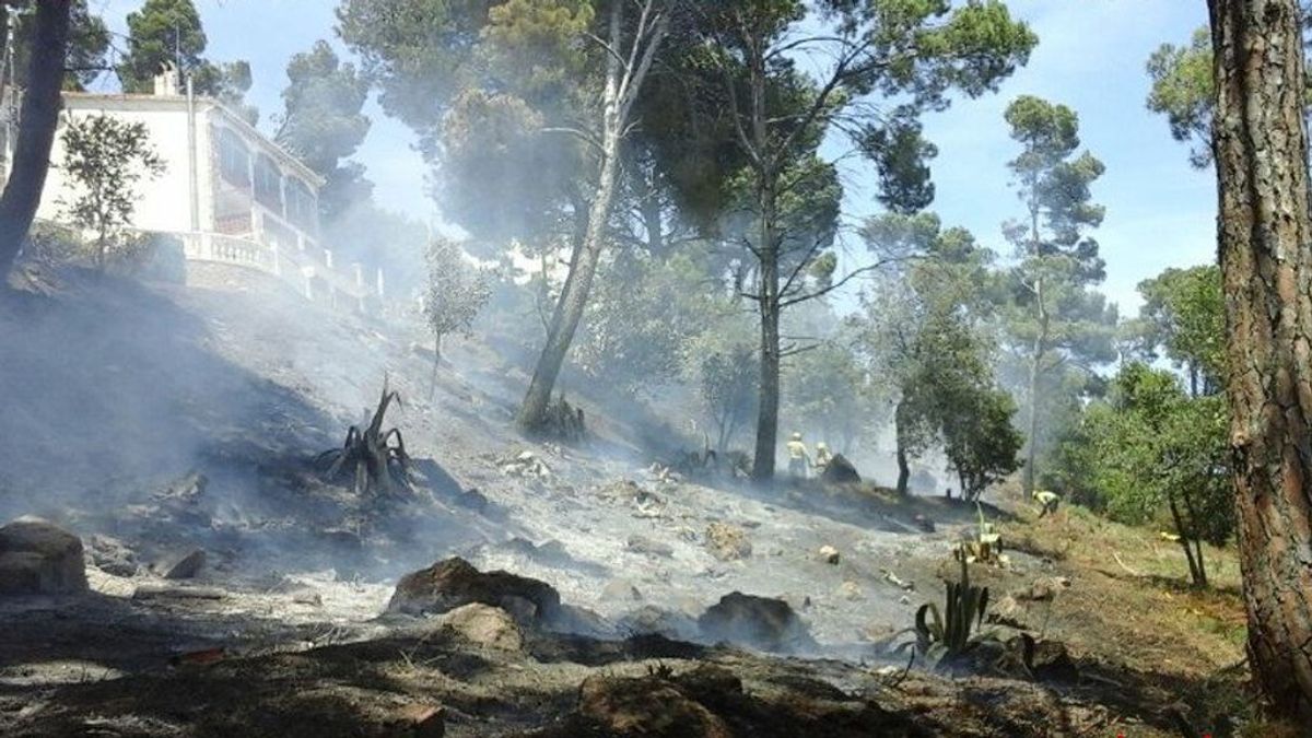 Una colilla, causa "más probable" del incendio en Maials, Lleida