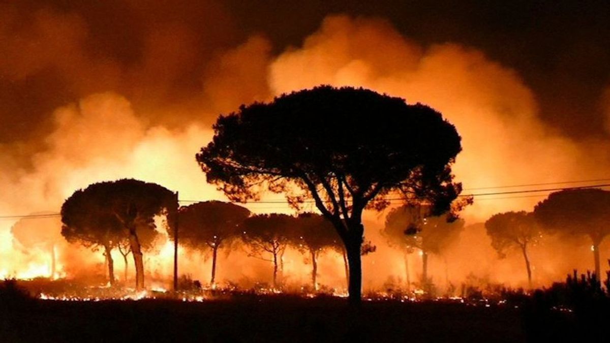 El precio del incendio de Doñana: 96,1 millones de euros