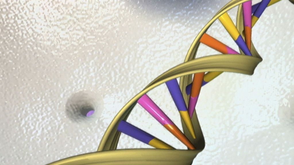 20190625 soc crispr adn