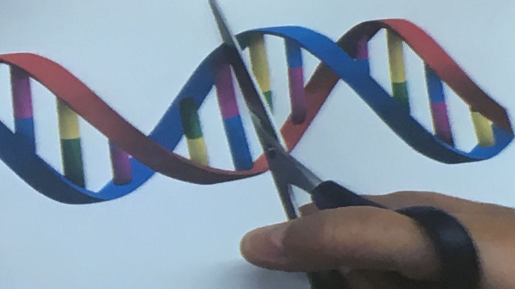 Editar el ADN: la solución genética para reescribir la vida se llama CRISPR Editar el ADN: la solución genética para reescribir la vida se llama CRISPR