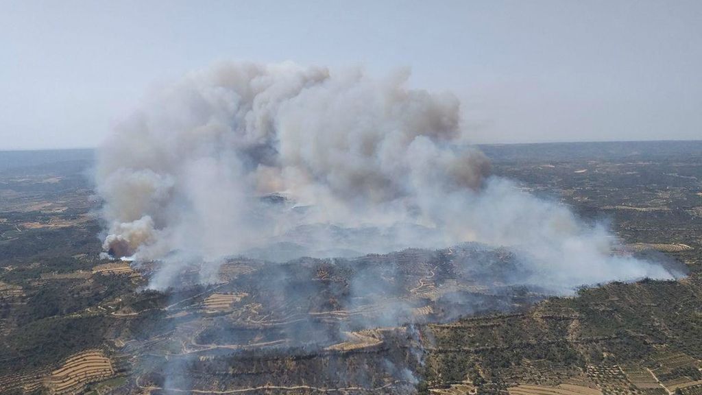 Declarado el primer gran incendio del verano en el delta del Ebro Declarado el primer gran incendio del verano en el delta del Ebro