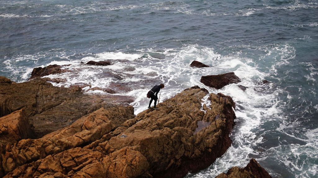 Las capturas ilícitas de los percebeiros furtivos ponen en riesgo el negocio de este sector Las capturas ilícitas de los percebeiros furtivos ponen en riesgo el negocio de este sector
