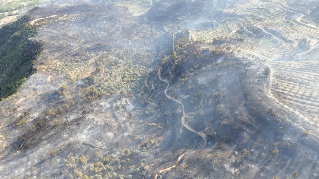 Cronología del infernal incendio de Tarragona, en imágenes