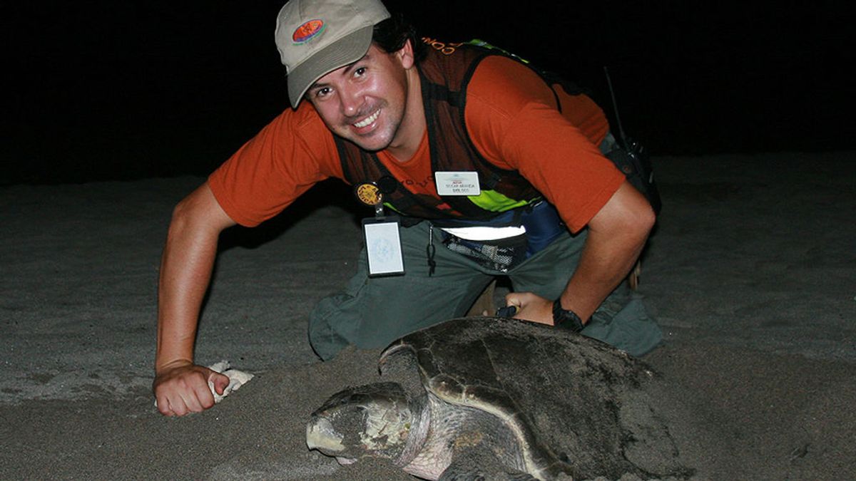 Oscar Aranda, el salvador de tortugas mexicano al que los narcos querían matar, vive en Alicante Oscar Aranda, el salvador de tortugas mexicano al que los narcos querían matar, vive en Alicante