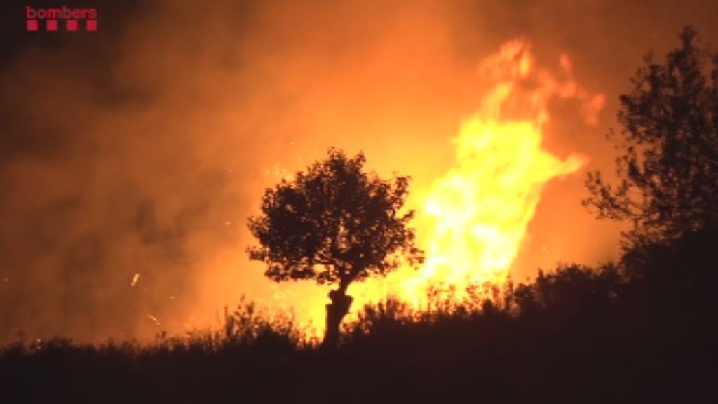 5.500 las hectáreas arrasadas en el incendio de Flix