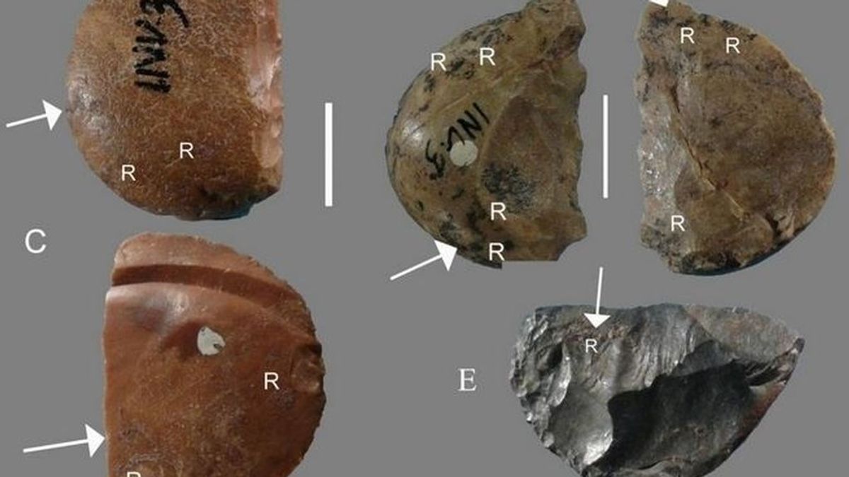 Los neandertales europes, los más listos: inventaron el pegamento