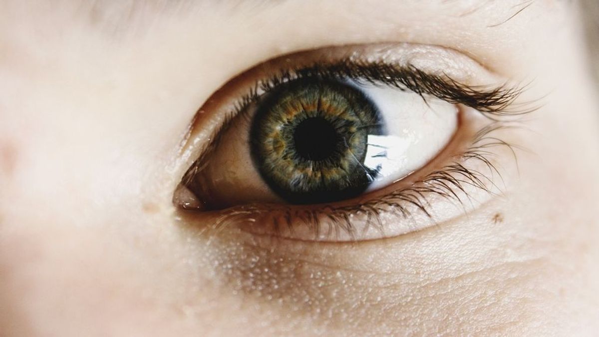 Abrasiones corneales, ojo rojo, conjuntivitis: las consecuencias de los incendios forestales para la vista