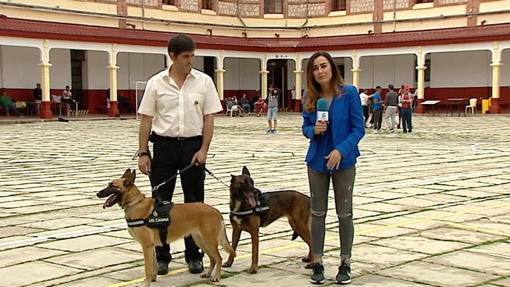 En las entrañas de la cárcel de Burgos con los perros de la droga