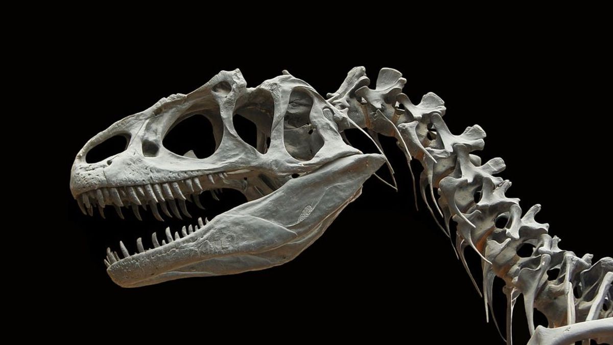 Descubren una nueva especie de dinosaurio carnívora que vivió hace 90 millones de años en Brasil