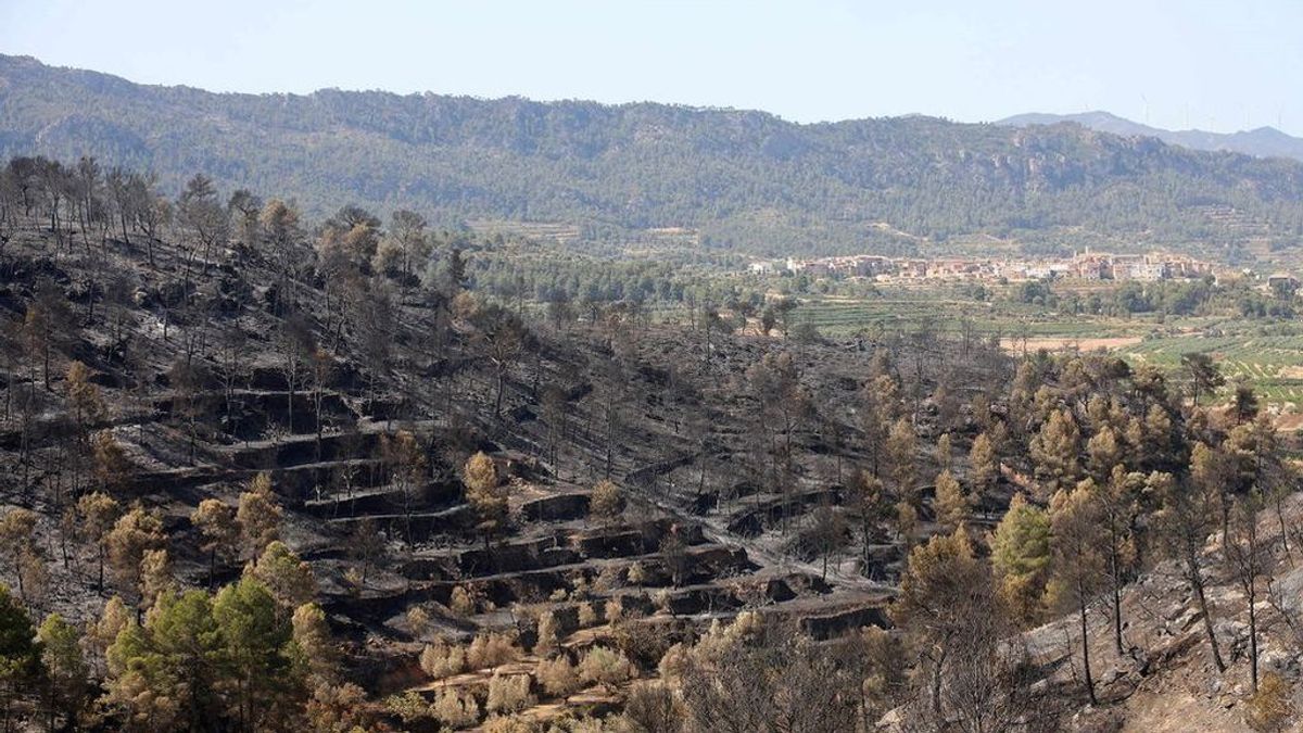 Estabilizado el incendio de Tarragona tras arrasar más de 6000 hectáreas