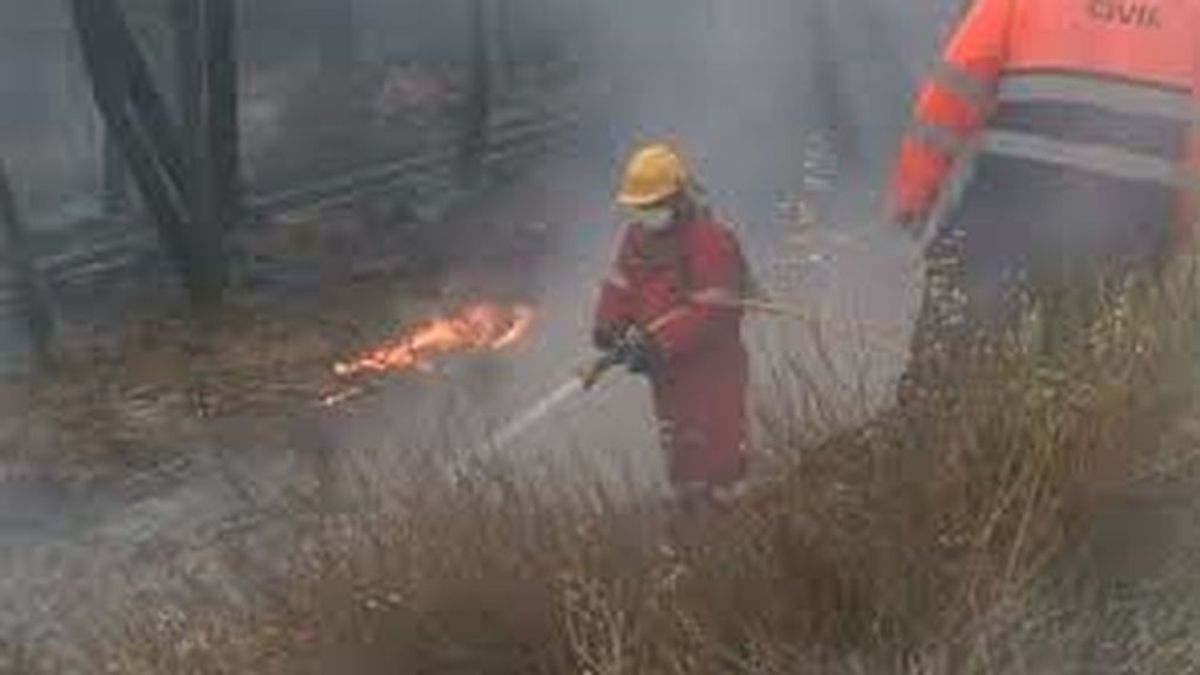 Numerosos efectivos trabajan en el incendio de Gavilanes (Ávila), que ha llegado a Pedro Bernardo