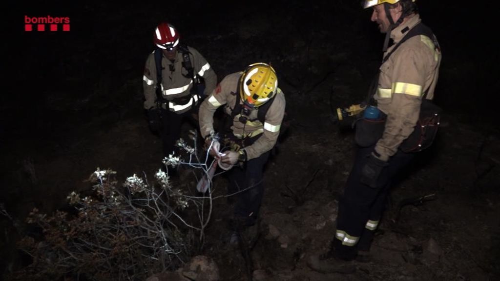 Los bomberos consiguen controlar el 90% del incendio de Tarragona Los bomberos consiguen controlar el 90% del incendio de Tarragona