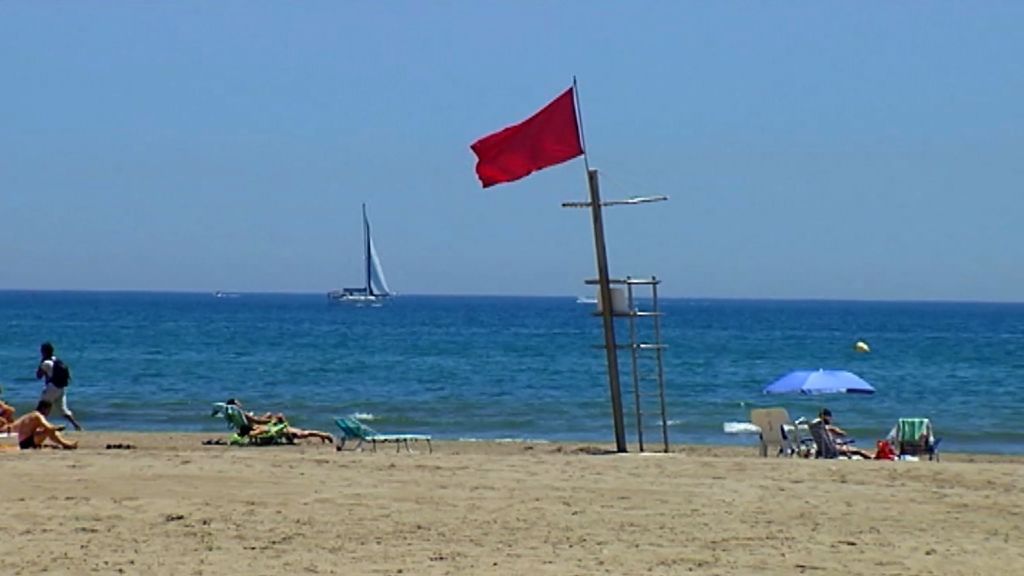 Precaución en las playas de Valencia por el mosquito tigre y el cierre por aguas fecales