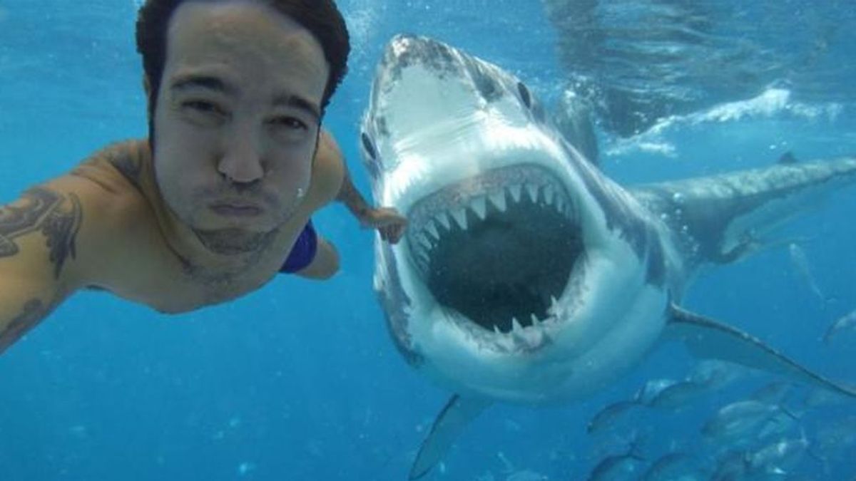 Fotografías de riesgo: Los 'selfies' matan a más personas que los tiburones
