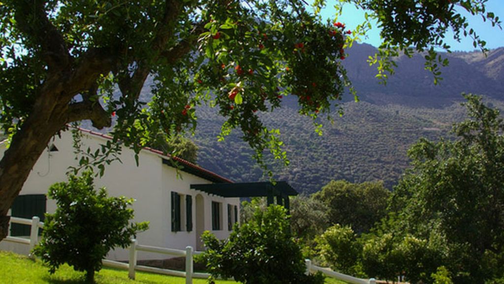 20190701 _SOC Campamento inglés