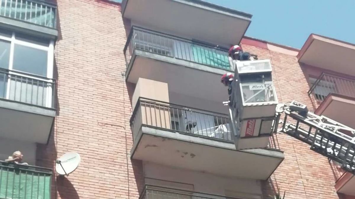 Detenida la dueña de un perro que murió de un golpe de calor por estar atado en la terraza de la vivienda